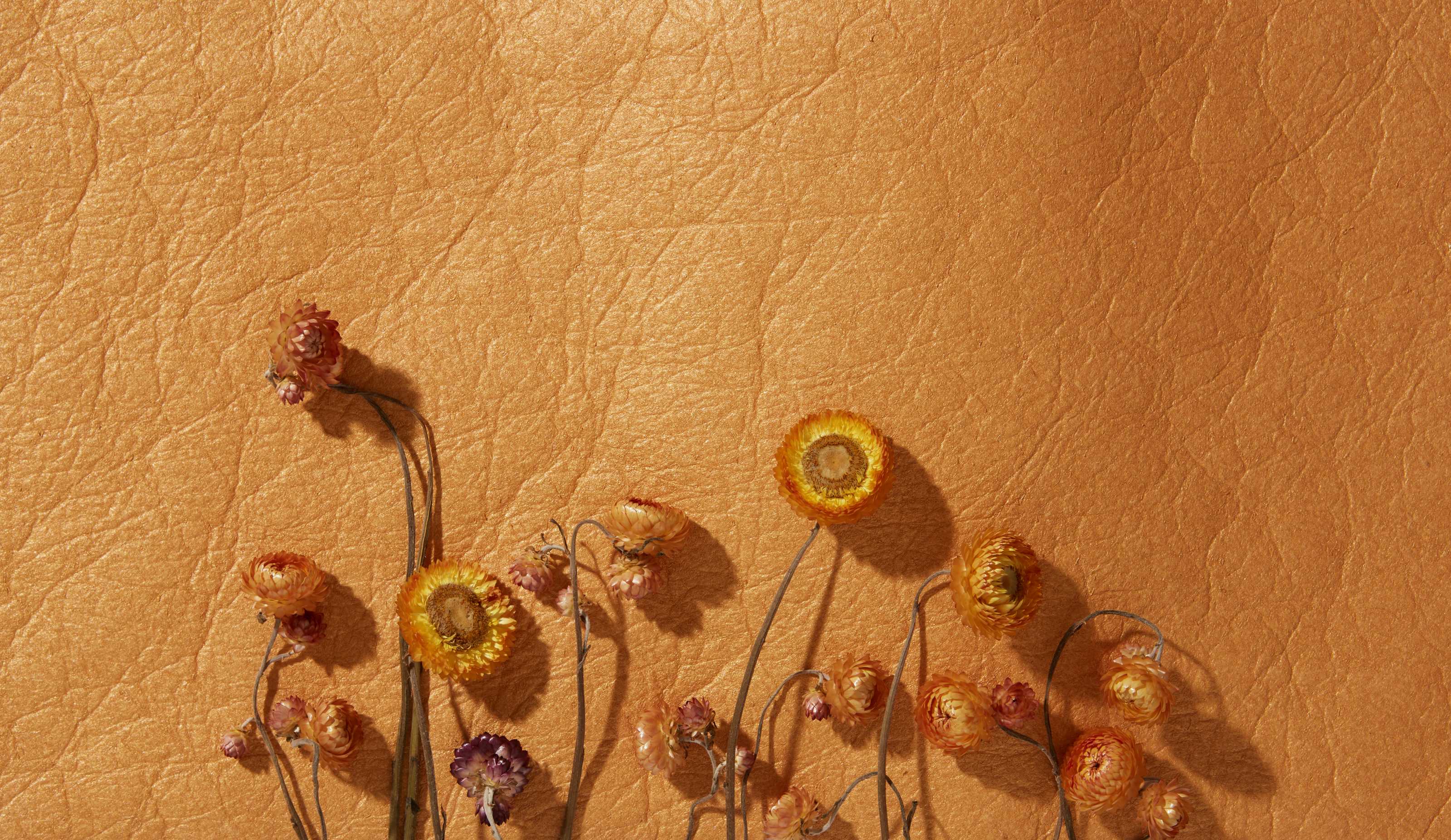 Piñatex and Flowers