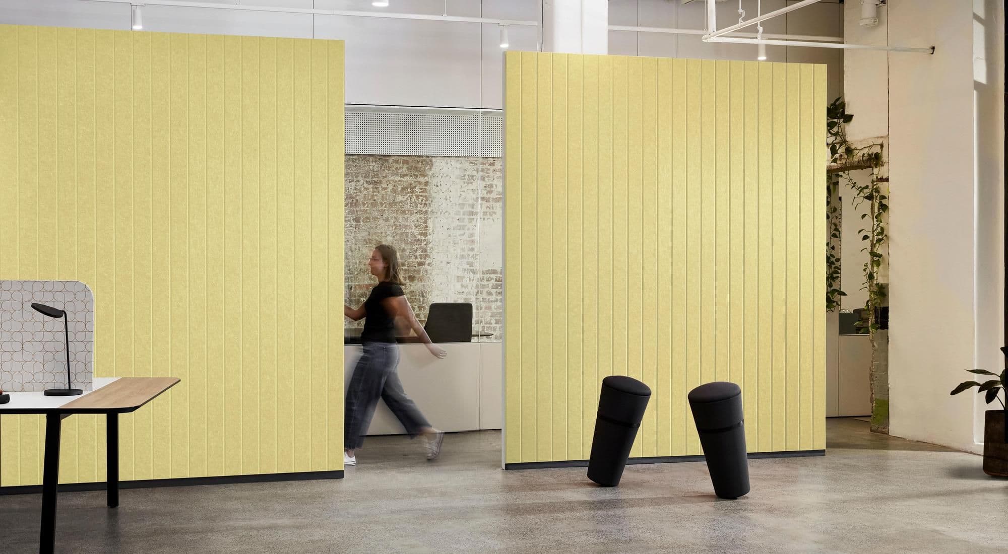 EchoPanel Longitude Wall