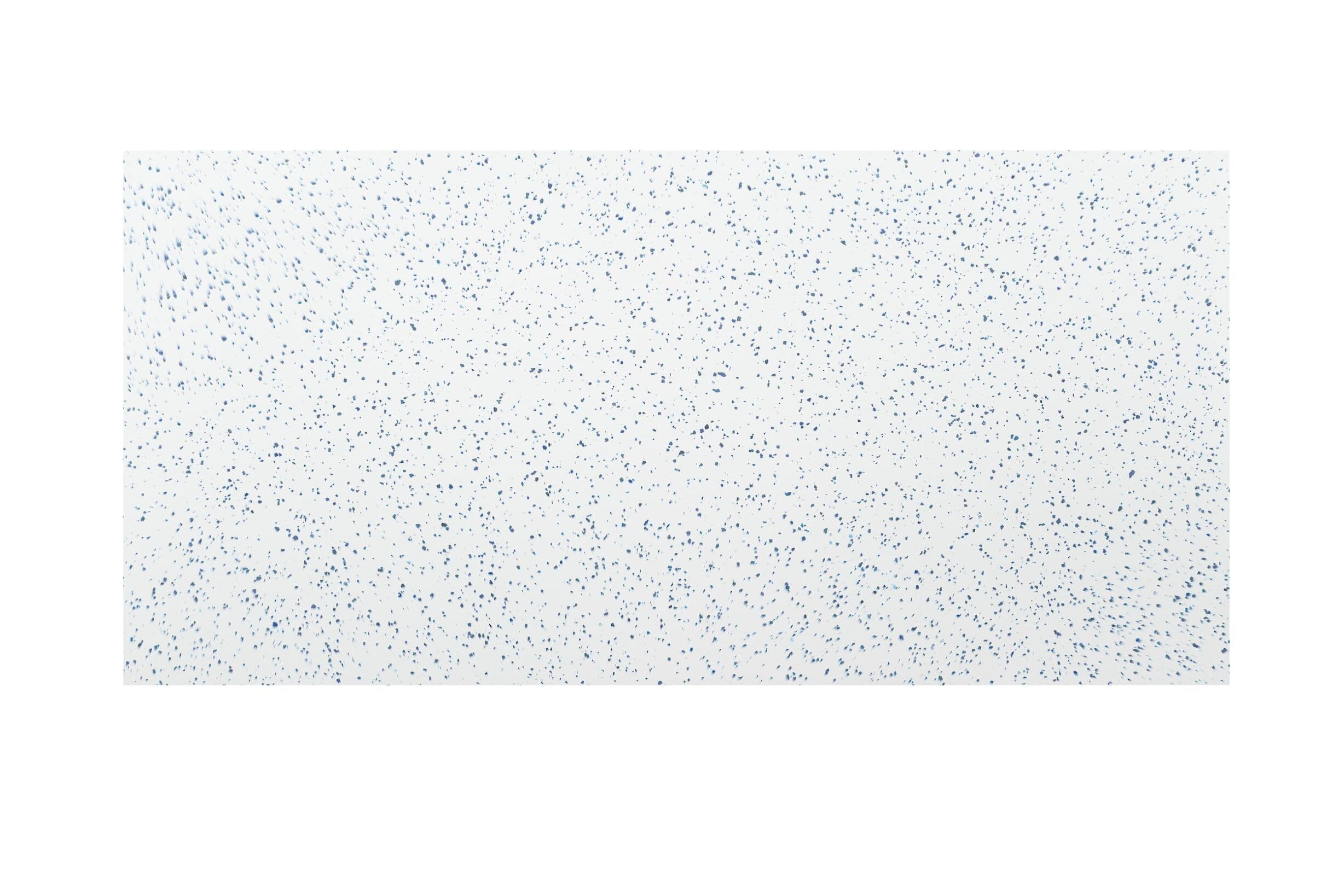 Timeless Duo Blue Panel