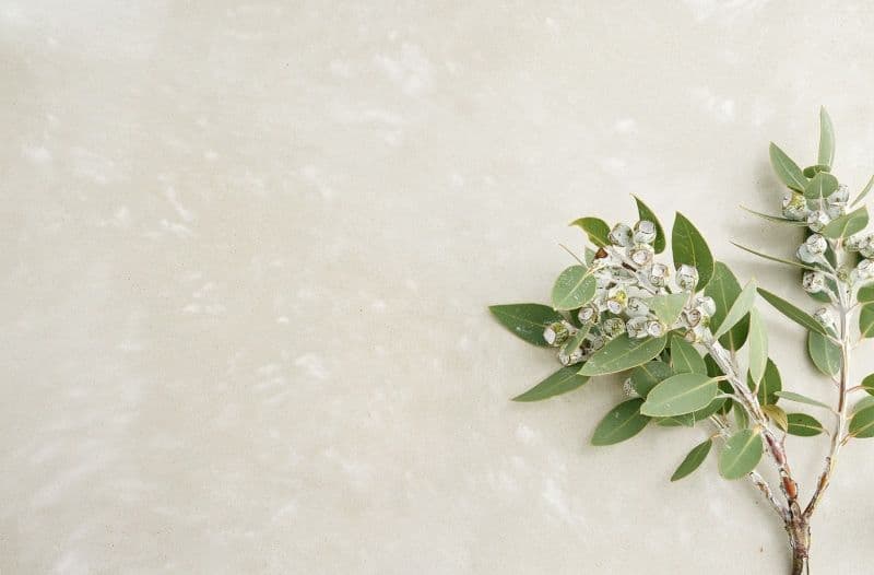 Engineered Benchtop Desert Sand