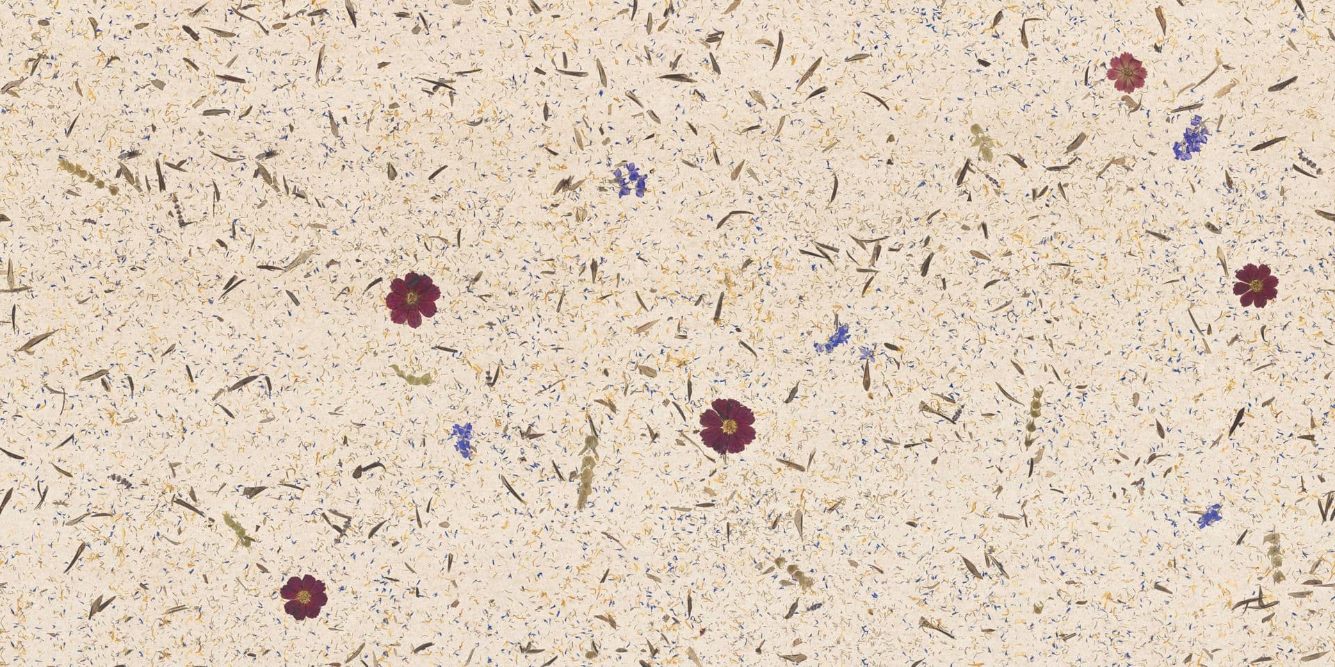 Carpe Diem Wallpaper Texture