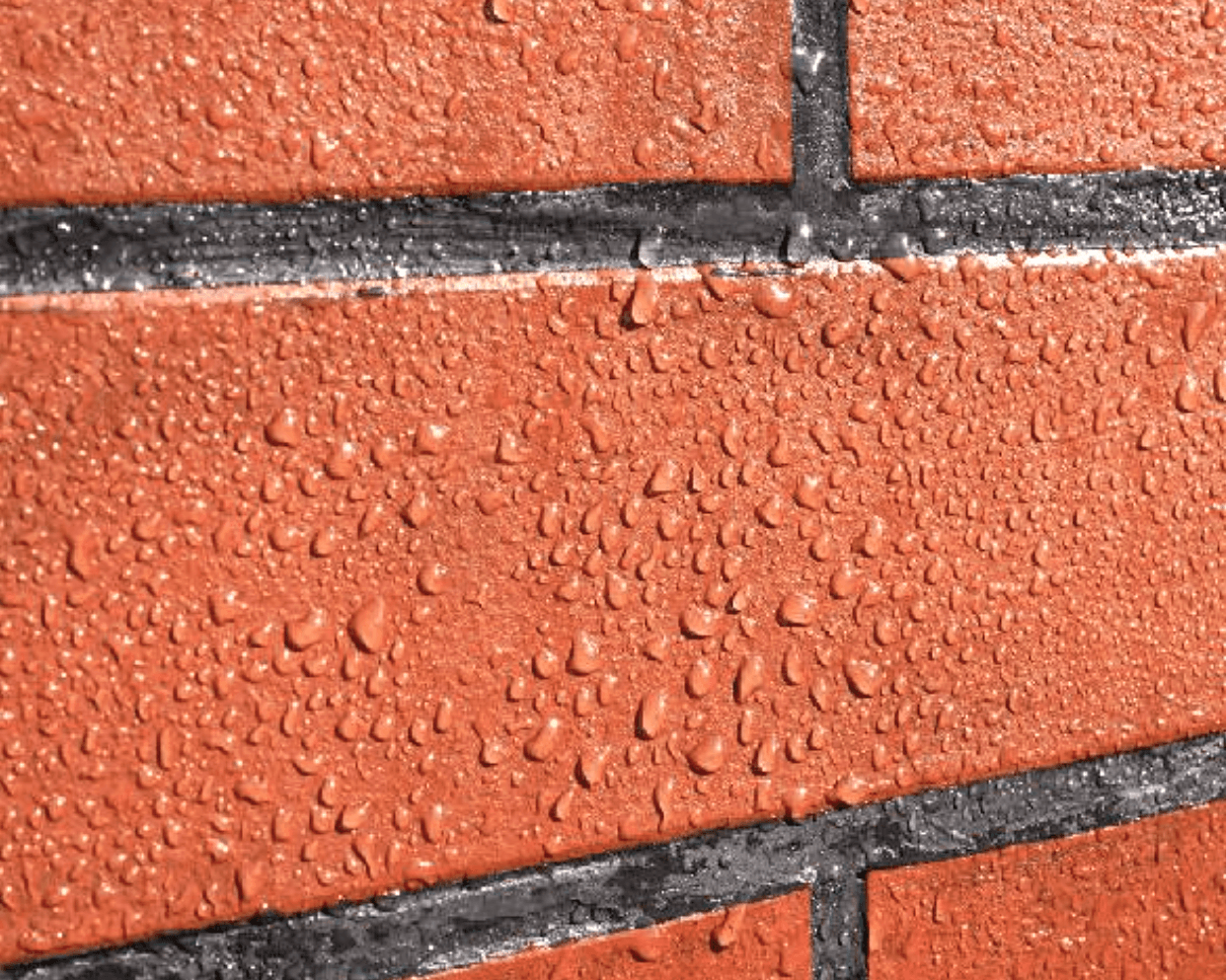 Diasen BKK Eco Sealer